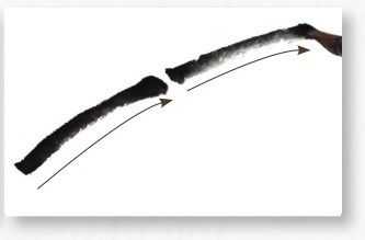 画竹子的简单画法水墨初学,竹子没骨画教程