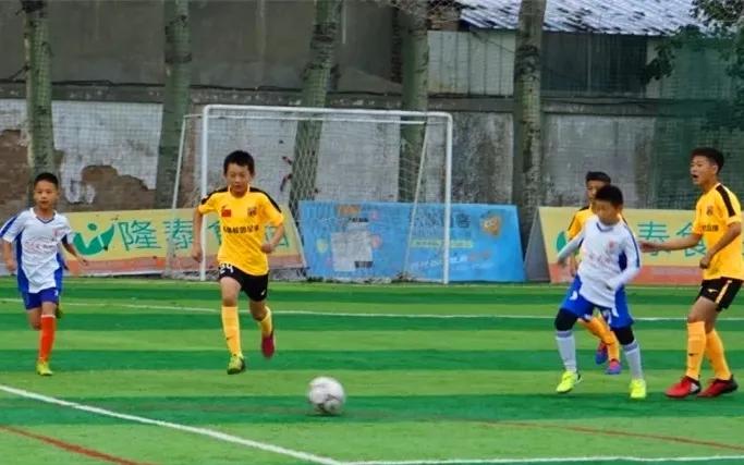 潍坊市潍城区隆泰食品,山东青州隆泰食品集团