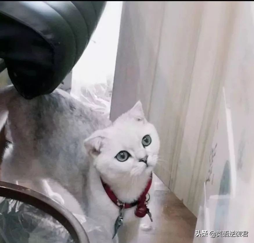 学英语好处与坏处的对比,学英语价值和意义