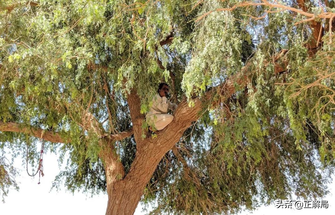 世界互联网的未来在印度,但已被中国“接管”……