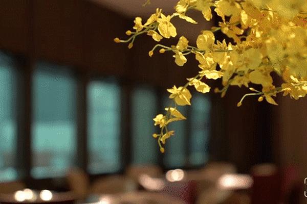 300公里外的“海鲜世家”登陆浦东！想吃要等8小时……