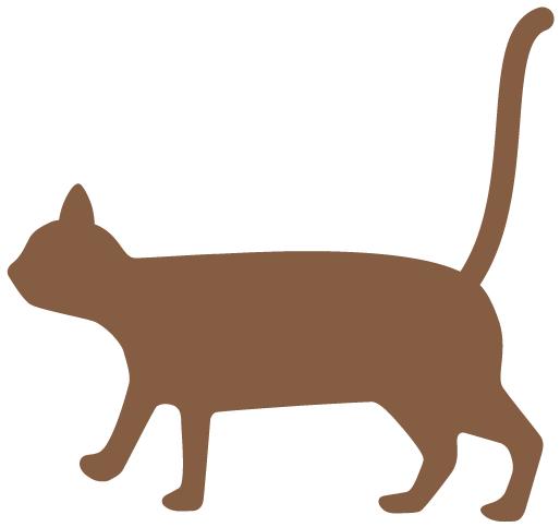 快来！华理小哥哥教你赢得科研竞赛的同时，做个有趣的人