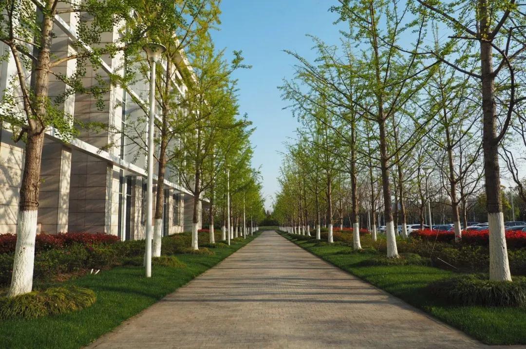 江苏昆山杜克大学图片,昆山杜克大学堪比985