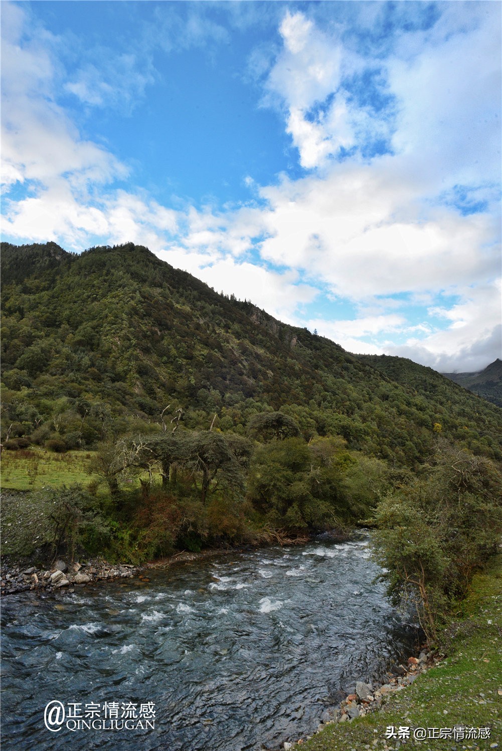 夜色成都串串爽，魅力小金苹果香#国庆中秋趣哪玩#