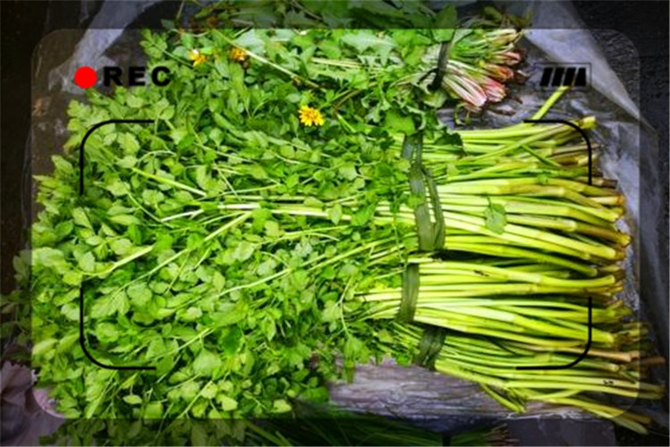 40多岁的人不想打工回家能干啥,43岁不想打工还能学点啥技术