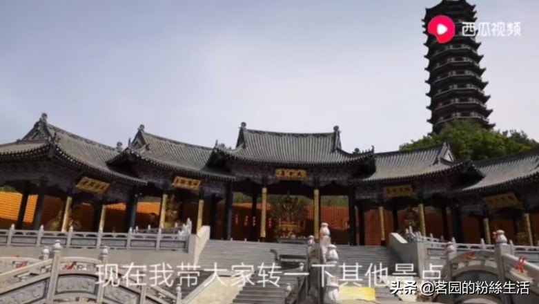 沈阳怪坡虎园,沈阳怪坡