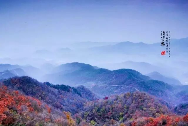 秋天赏枫叶好去处,赏红叶正当时