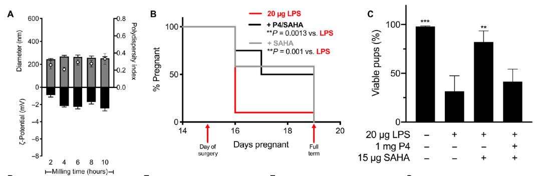 美国学者通过纳米载体递送药物预防婴儿早产