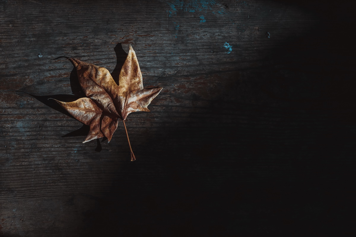 eosm6鐢昏川,eosm6鏍峰紶