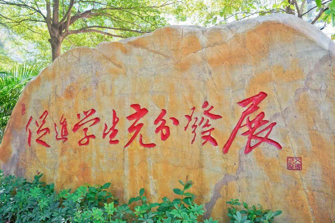 深中龙初入学积分,深圳中学初中部与深中龙初哪个好