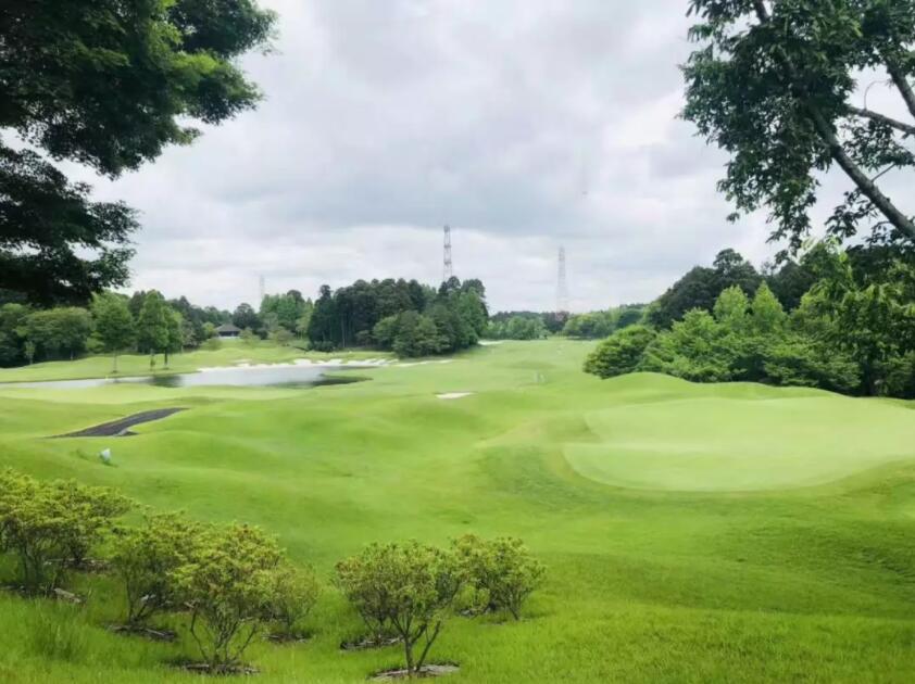 游记｜来自香港、上海、深圳的7位贵宾：挥杆关东世界百佳...