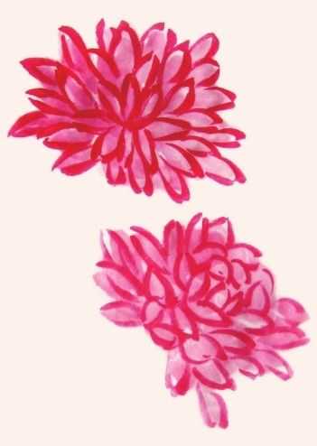 国画知识：不会画菊花？教你5种菊花画法，简单易学，快来临摹吧