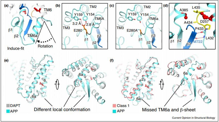 施一公研究团队,施一公团队