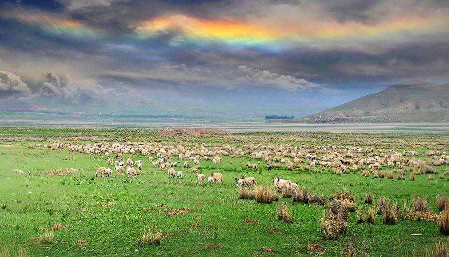 七月甘南自驾游注意事项,西安自驾甘南旅游攻略景点