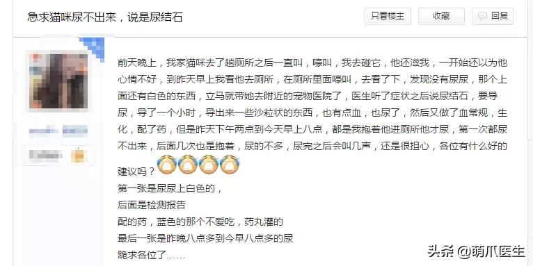 猫咪天天跑去喂鱼,猫咪不吃东西喝汤能喝饱吗