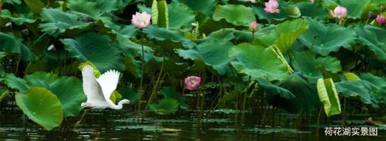 昆明嘉丽泽恒大养生谷楼盘现状,昆明嘉丽泽恒大养生谷湿地公园