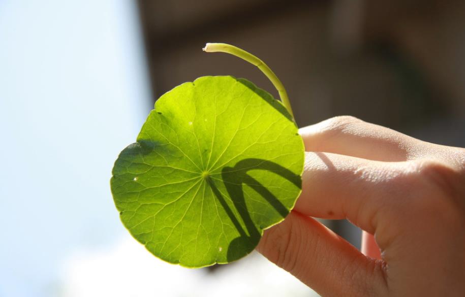 做人要懂得投资自己,做人赚钱的原则