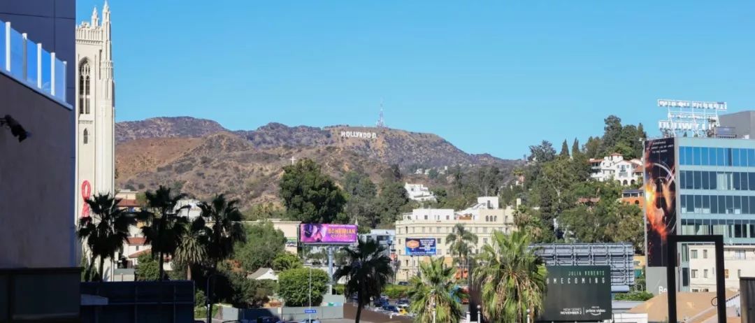 仰拍拍照技巧,仰拍拍照教程