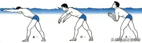 蛙泳初学者先学哪一步,梦觉蛙泳入门合集