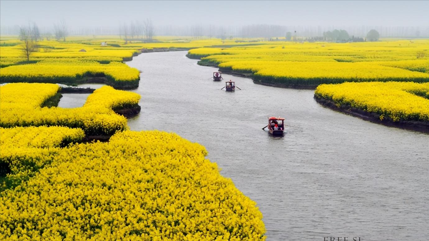 江苏省泰州市区域划分图,江苏泰州市属于华南还是华东