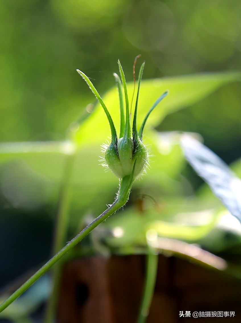佳能6d现在有新的吗,佳能6d相机寿命多少时间