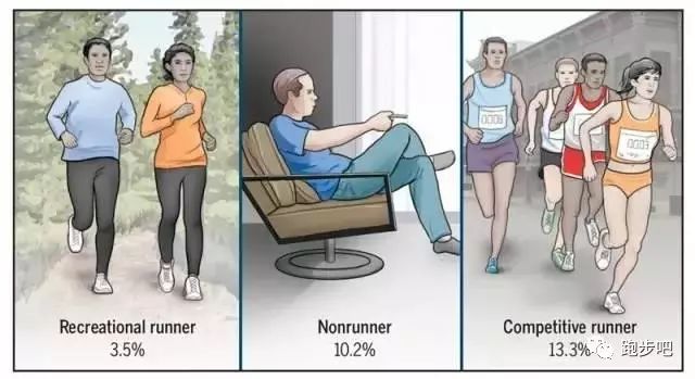 白岩松每天跑步3-5次,白岩松每周跑4-5次视频