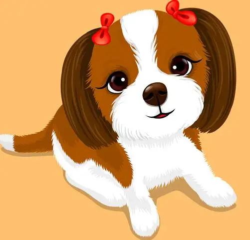 十二生肖属狗的人今年运势,十二生肖狗未来5年运势大全