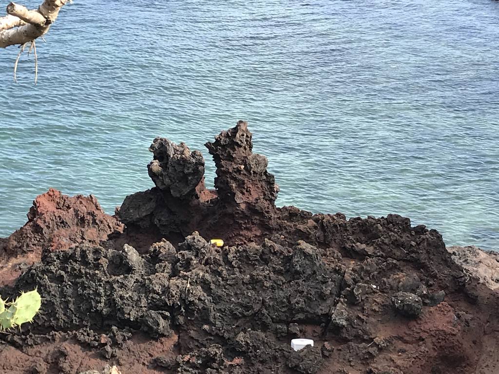 南京出发到海南自驾游攻略图,南京到海南自驾游路线和风景点