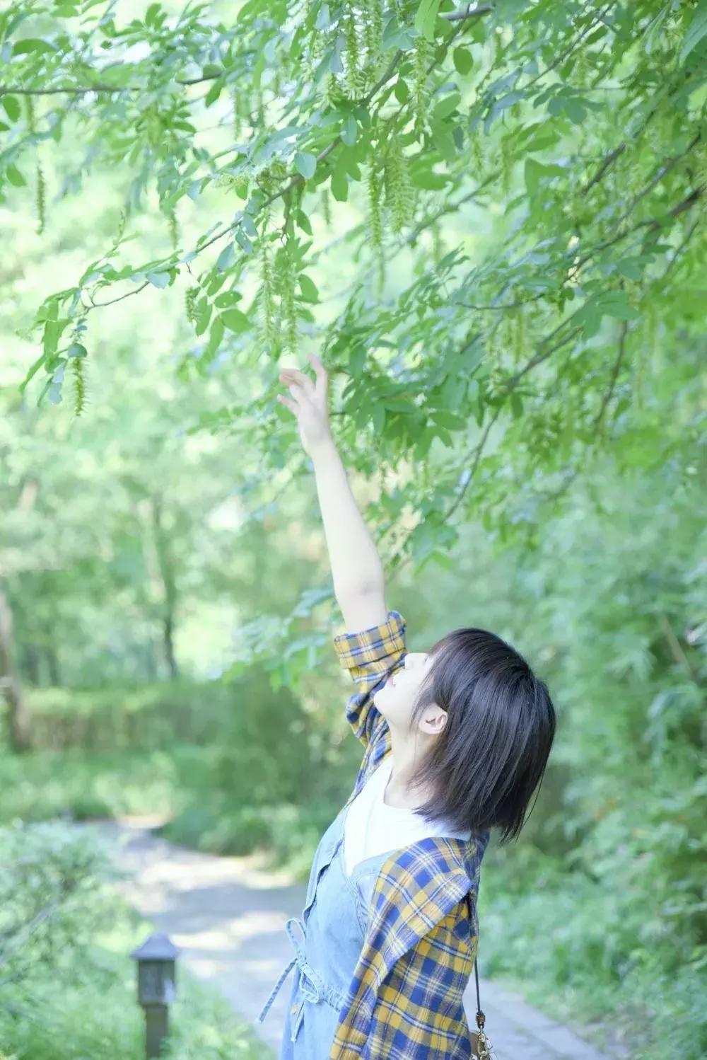 摄影与点评,摄影点评精选