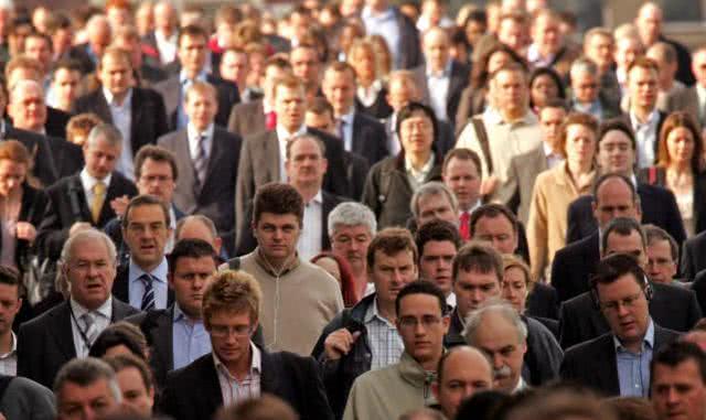 1只狐狸,36只企鹅被残忍猎杀