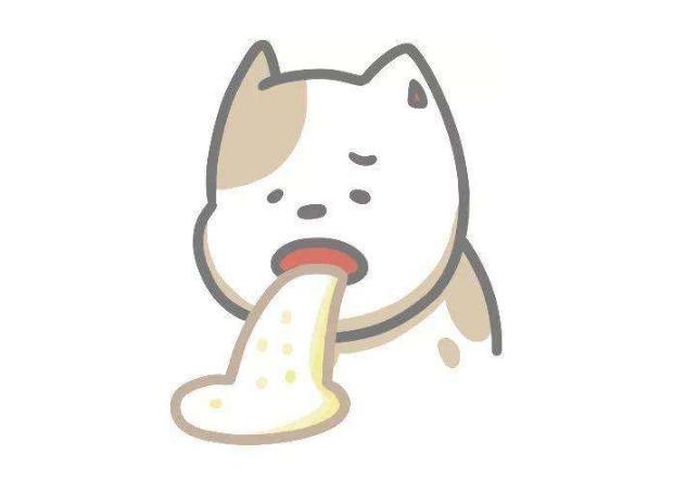 狗狗呕吐判断方法你知道几种,狗狗呕吐颜色分辨什么疾病