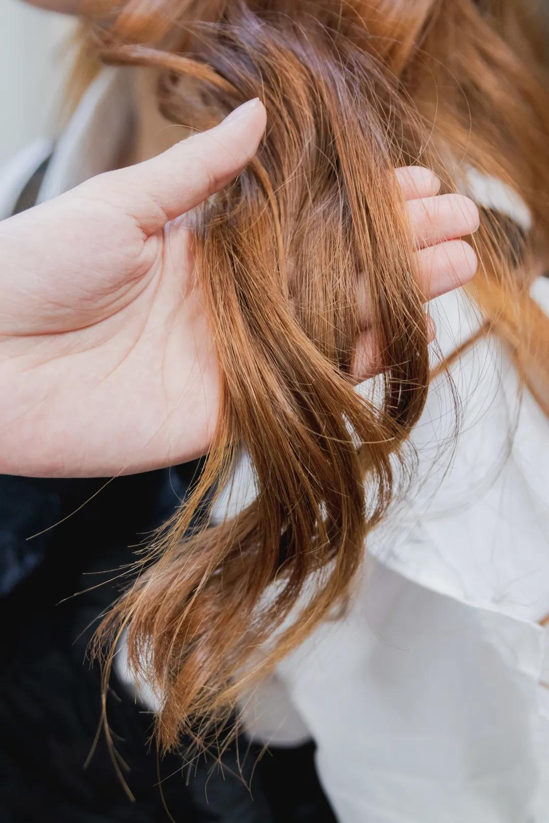 凭实力说话不靠脸,凭实力说话下一句