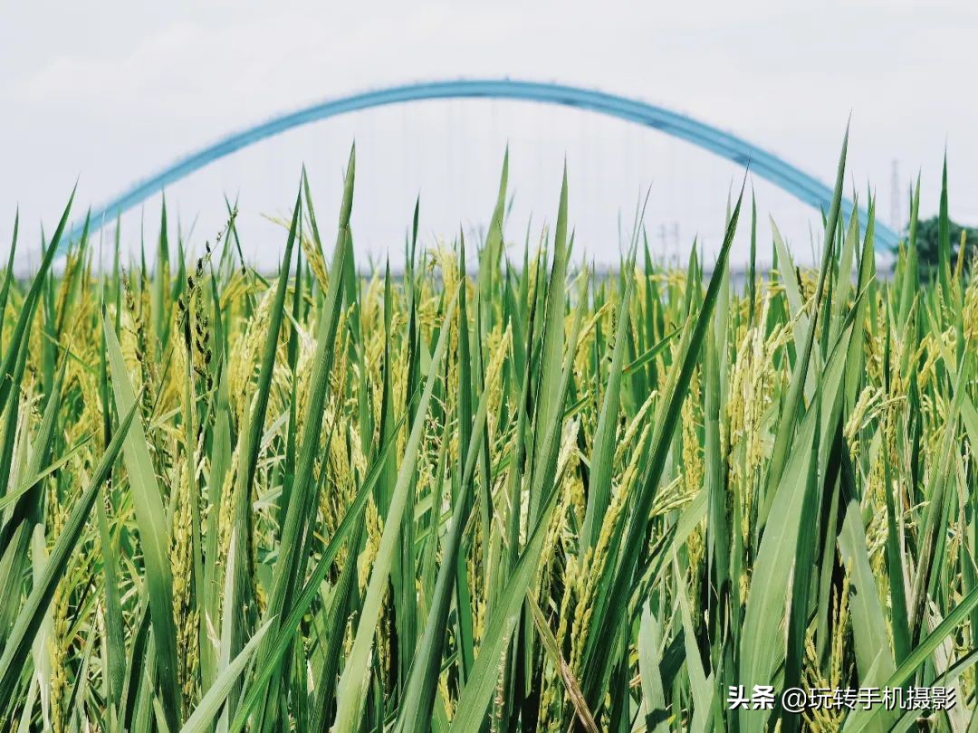 照片很暗没层次怎么调,照片拍出来丑的很奇怪