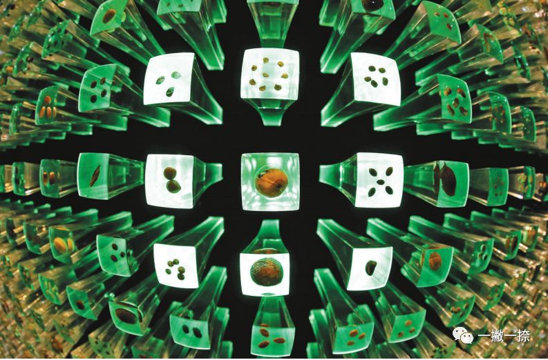 人民日报好看的图片,快看人民日报