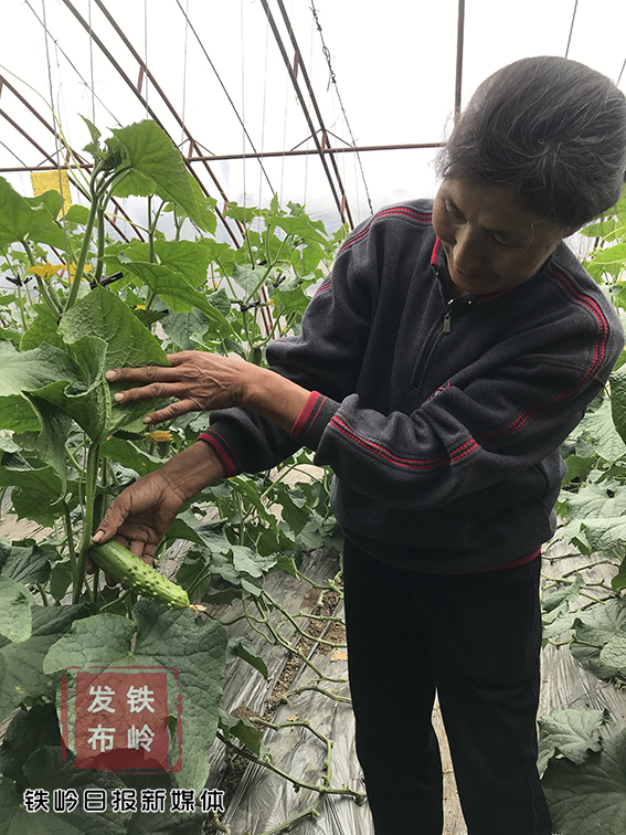 农村李秋香,李秋香