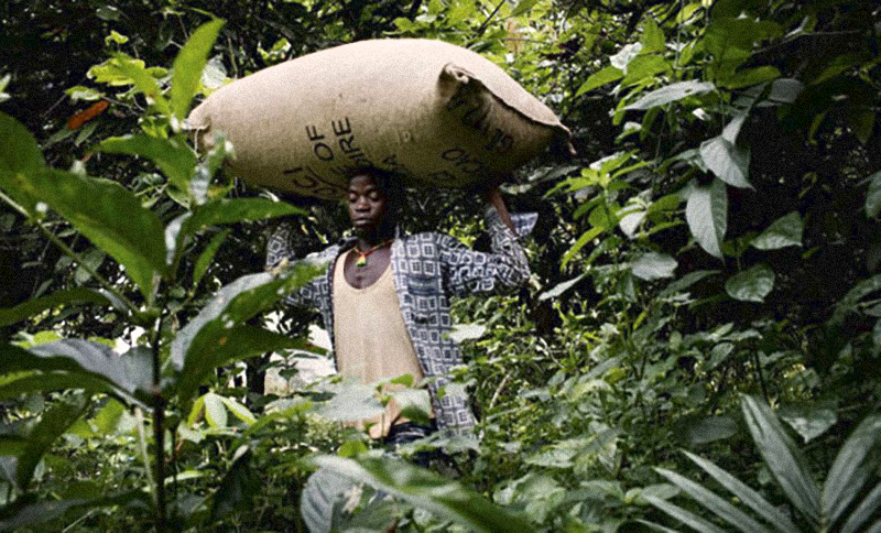 你不知道的国家冷知识尼日利亚篇,科特迪瓦国家简介