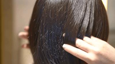 什么样的洗发水值得购买,比黄金还贵的洗发水