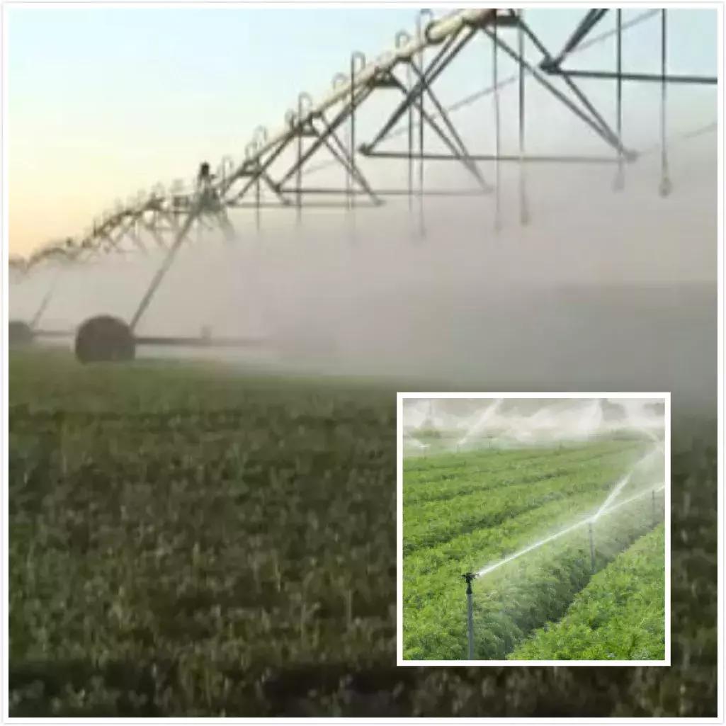 中国人去俄罗斯农场打工真实生活,在农场工作