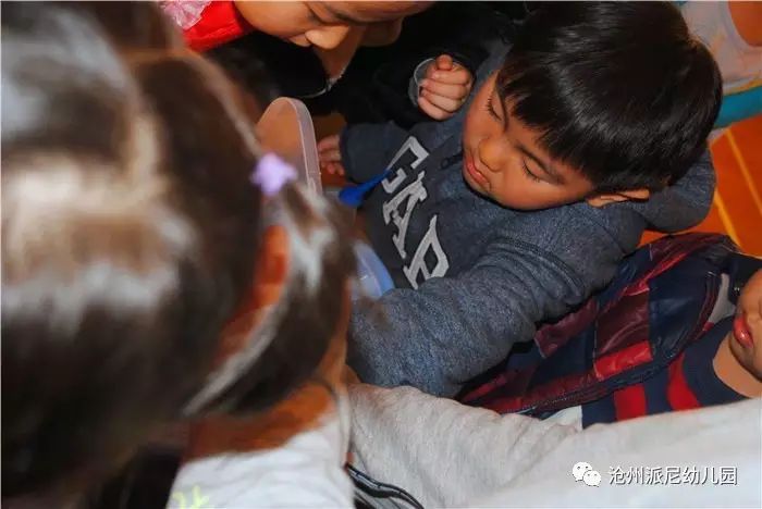 生命教育孵蛋,生命教育课程孵小鸡