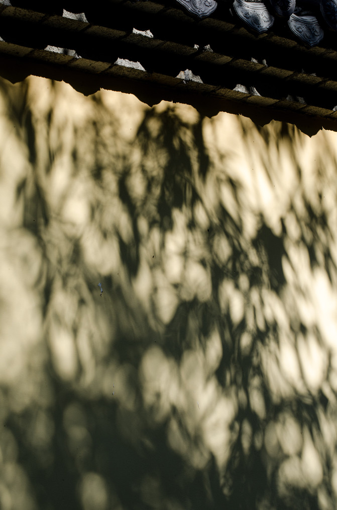 仙气缭绕的南岳衡山,人间仙境南岳衡山