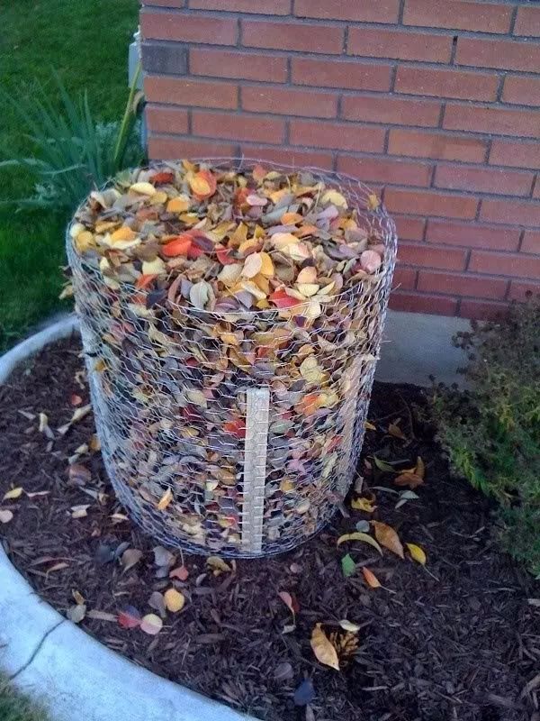 露台上的植物怎么过冬,植物过冬的方式有哪些