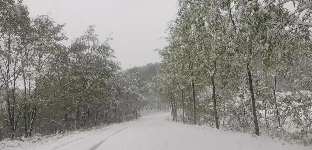 平凉崆峒区四路车现在停运了吗,平凉长途客车停运了吗