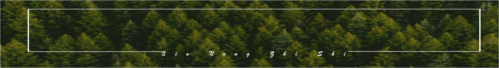 水稻高产栽培田间管理技术要点,水稻种植高产的办法