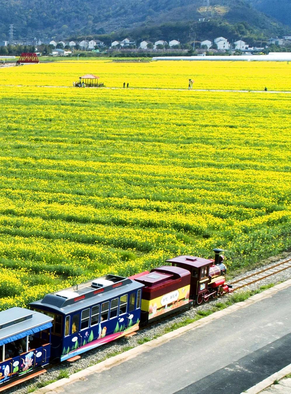 “海上小丽江”!这小城承包了海岛最美春色