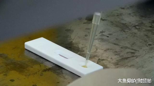 艾滋试纸多少钱一支,艾滋试纸多少钱