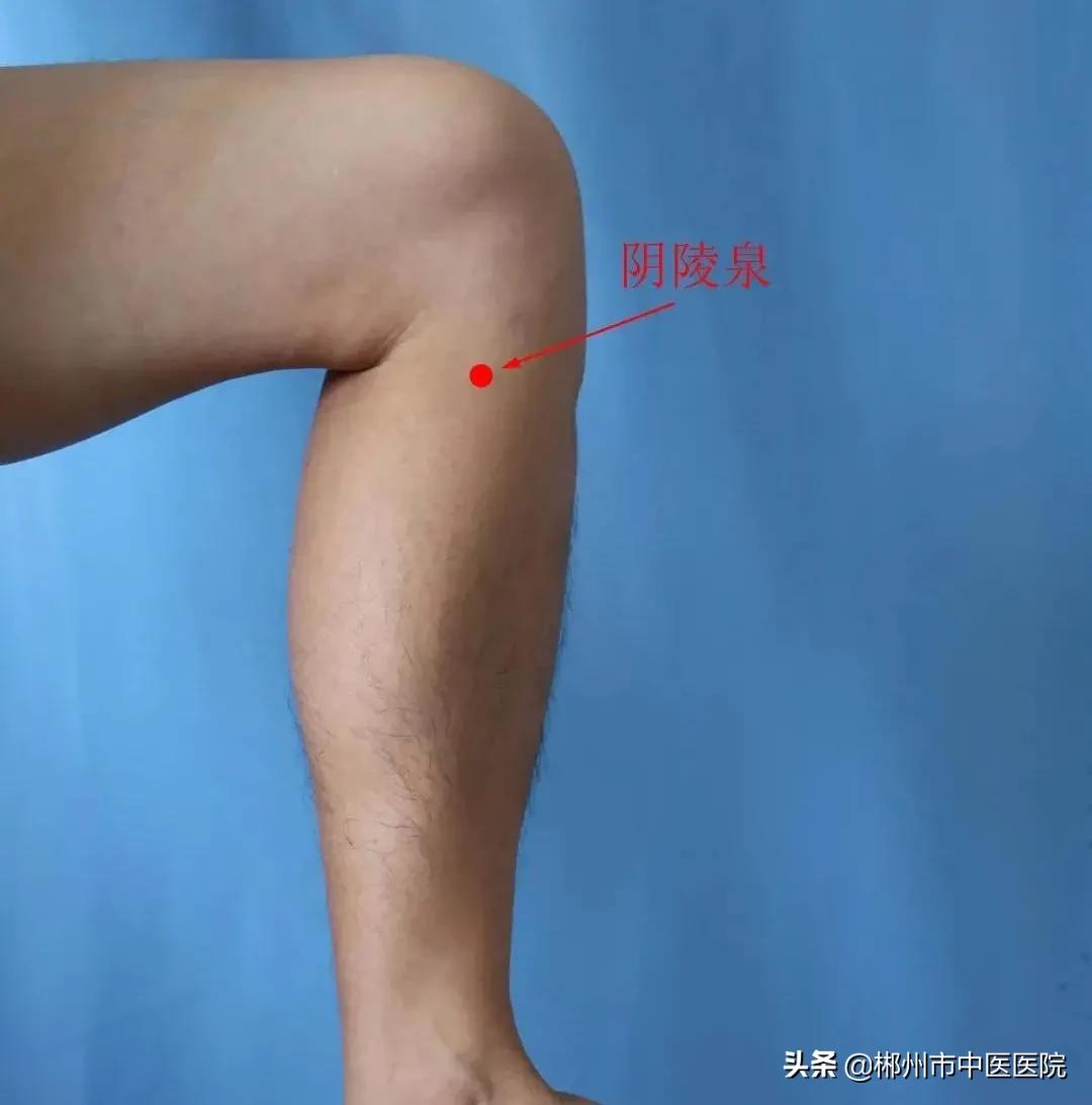 减肥不必运动怎么减,减肥不用饿肚子的秘诀