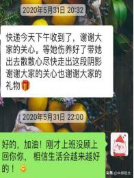 电视剧孕妇被小偷打流产大出血,孕妇家进小偷流产电视剧片段