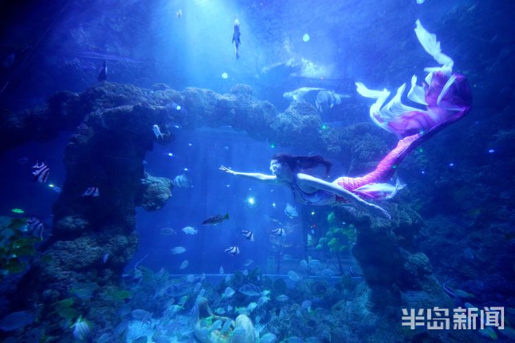 半岛聚焦丨今天我是你:女记者变身美人鱼,“变美”并不容易