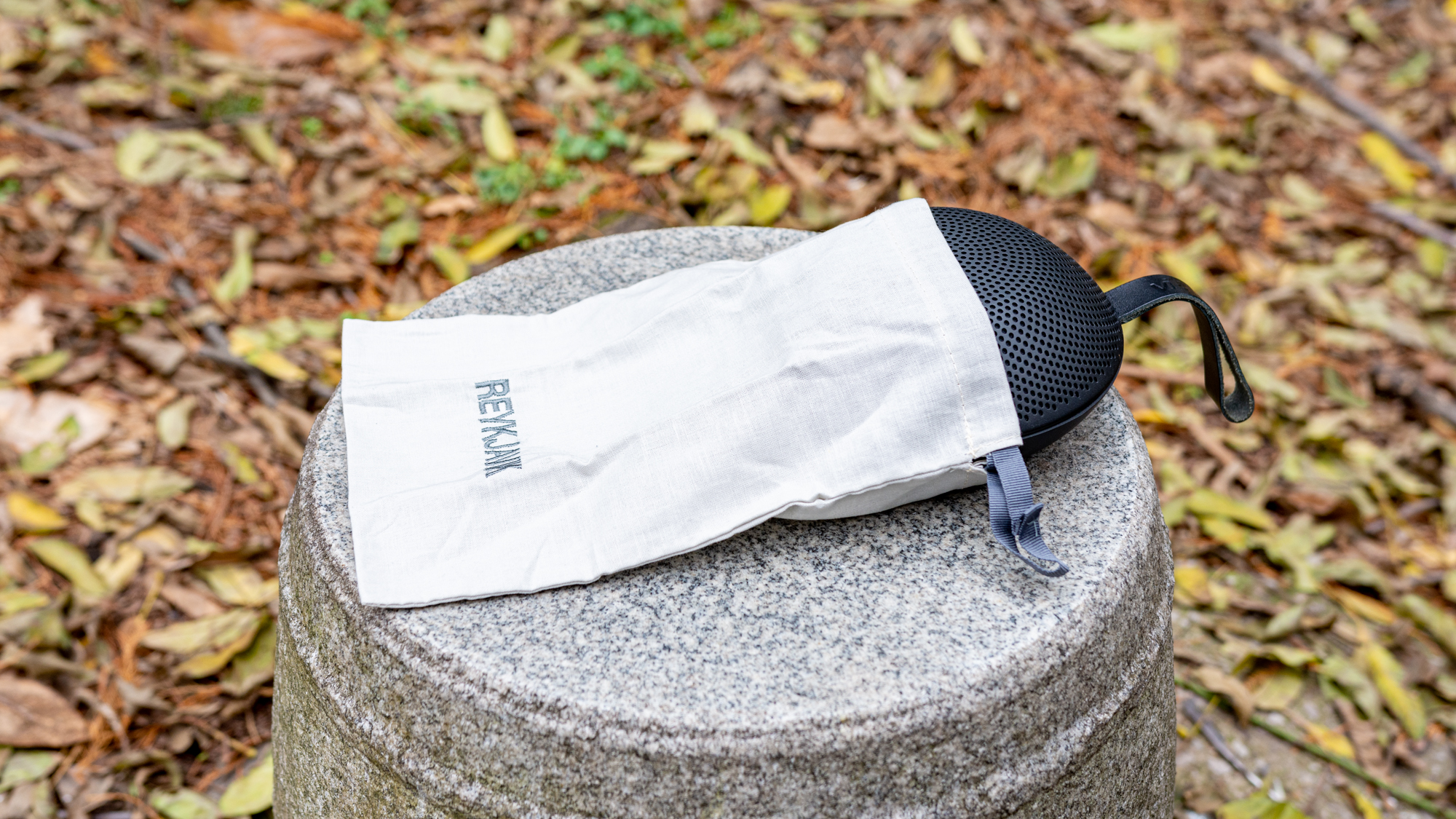 雷克雅未克蓝牙音箱评测,vifa雷克雅未克防水吗