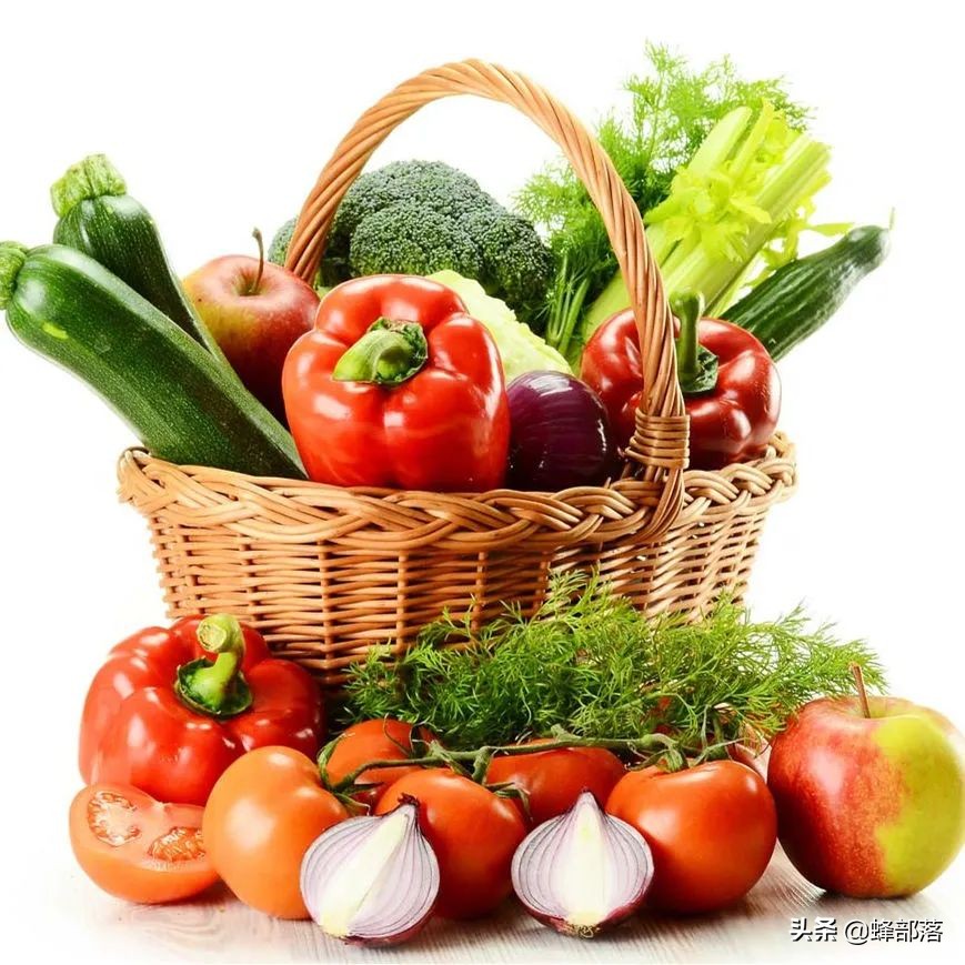 农村的空房子做什么行业可以赚钱,明年在农村做养殖行业哪种更赚钱